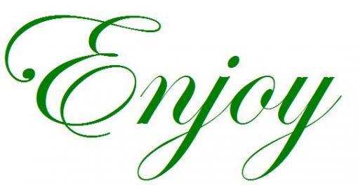  ROWAX ENJOY LOGO
